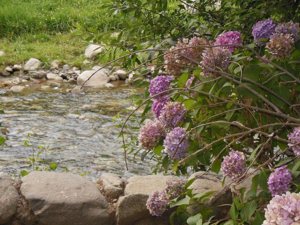 Au Bord De L'Eau Hotel Setti Fatma Eksteriør billede